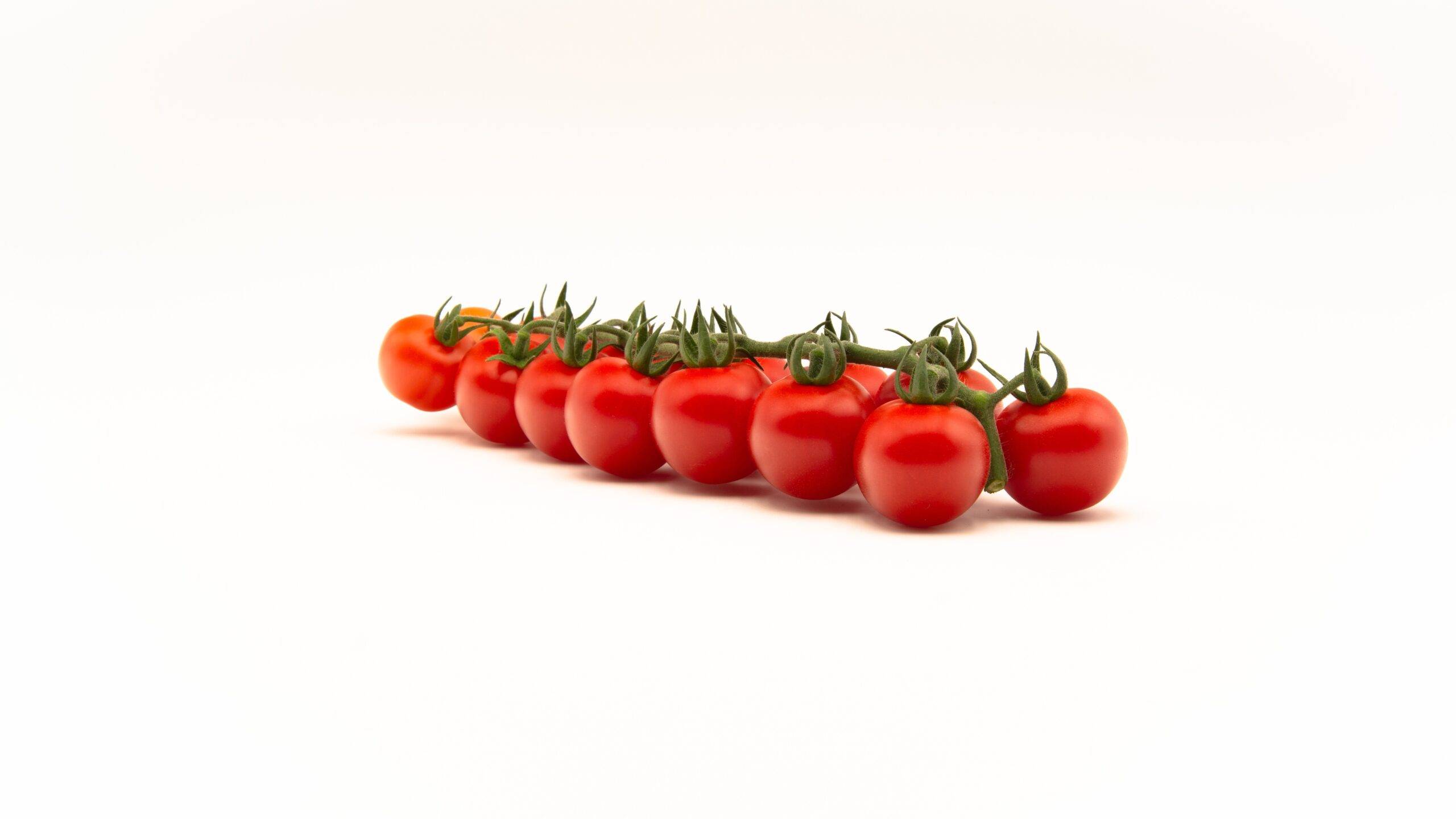 Durrillo-tomate-cherry|DURILLO_01